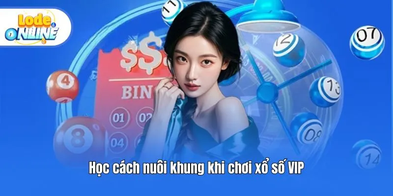 Học cách nuôi khung khi chơi xổ số VIP